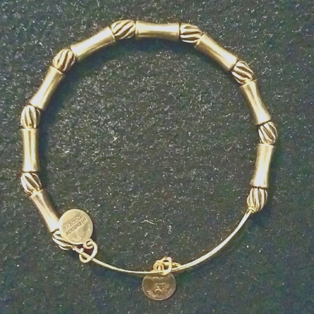Alex and Ani bracelet, bamboo